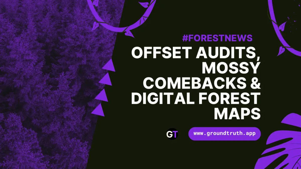 Title on black and purple background with forestry imagery. 