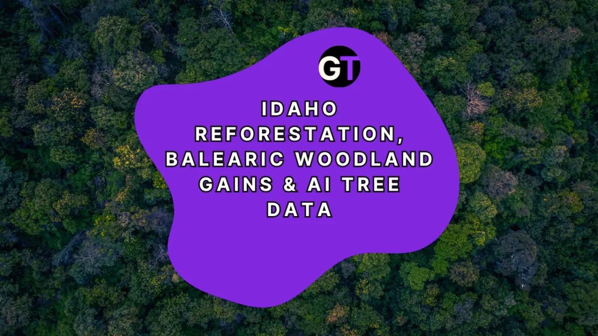 Title in purple shape on forest background. 