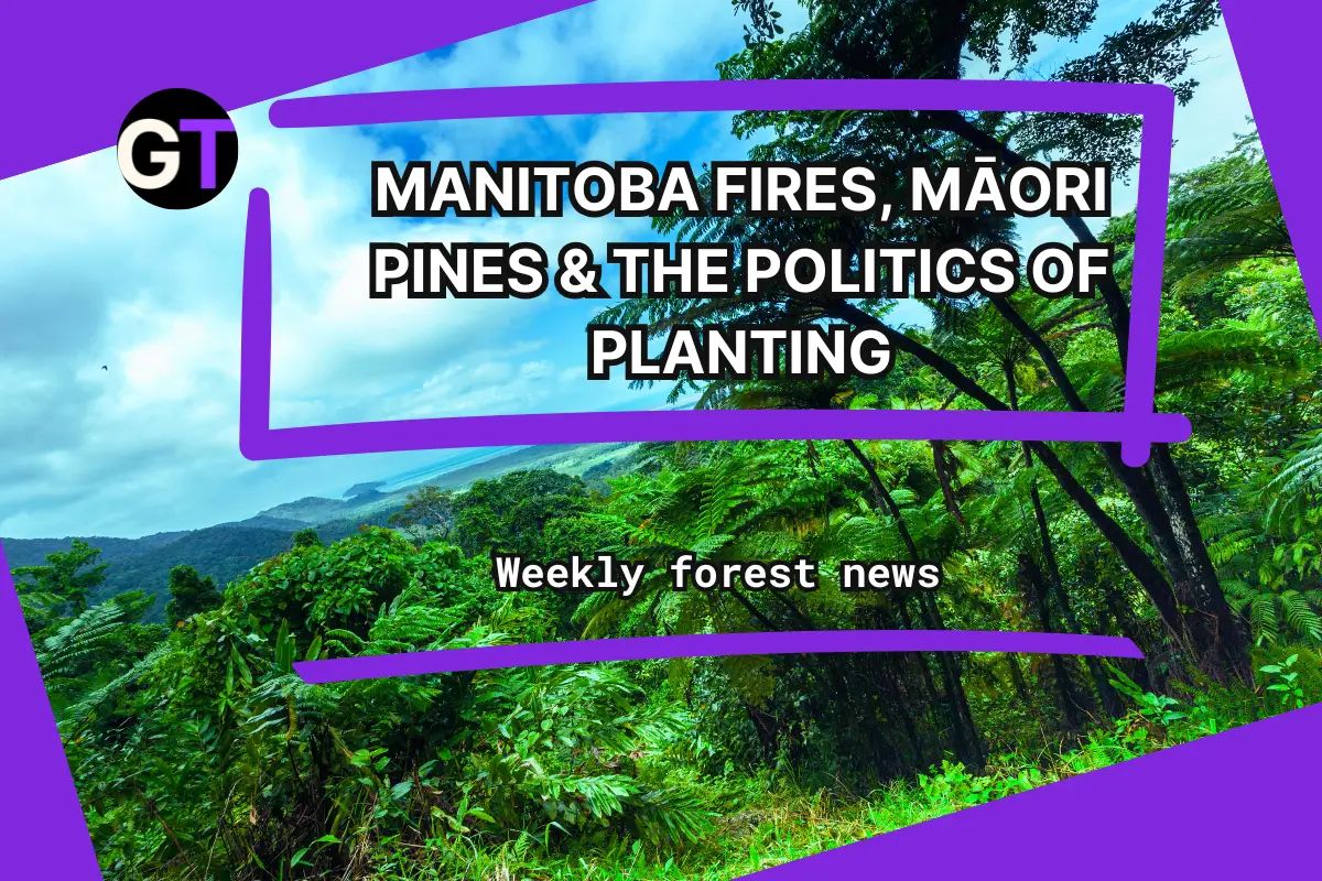 Title on purple background with tilted forest image and Ground Truth logo. 