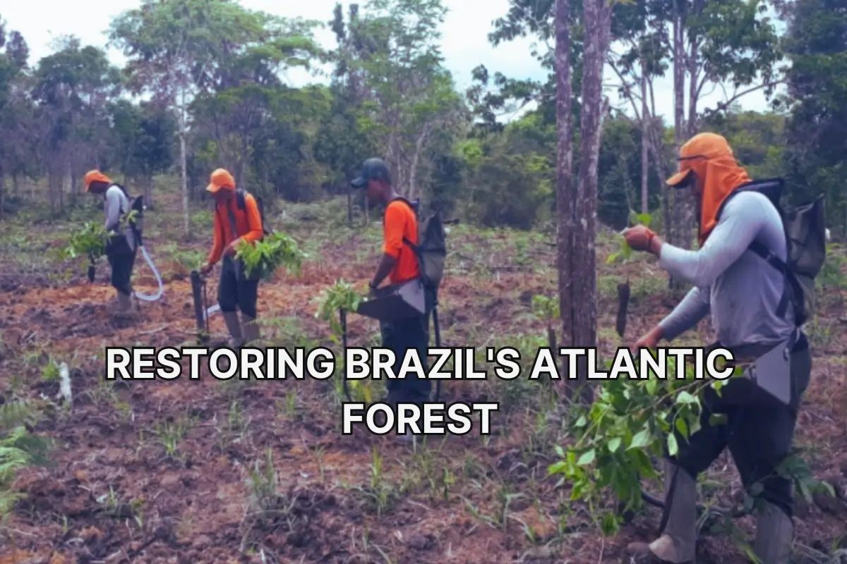 Four tree-planters on forest background. 