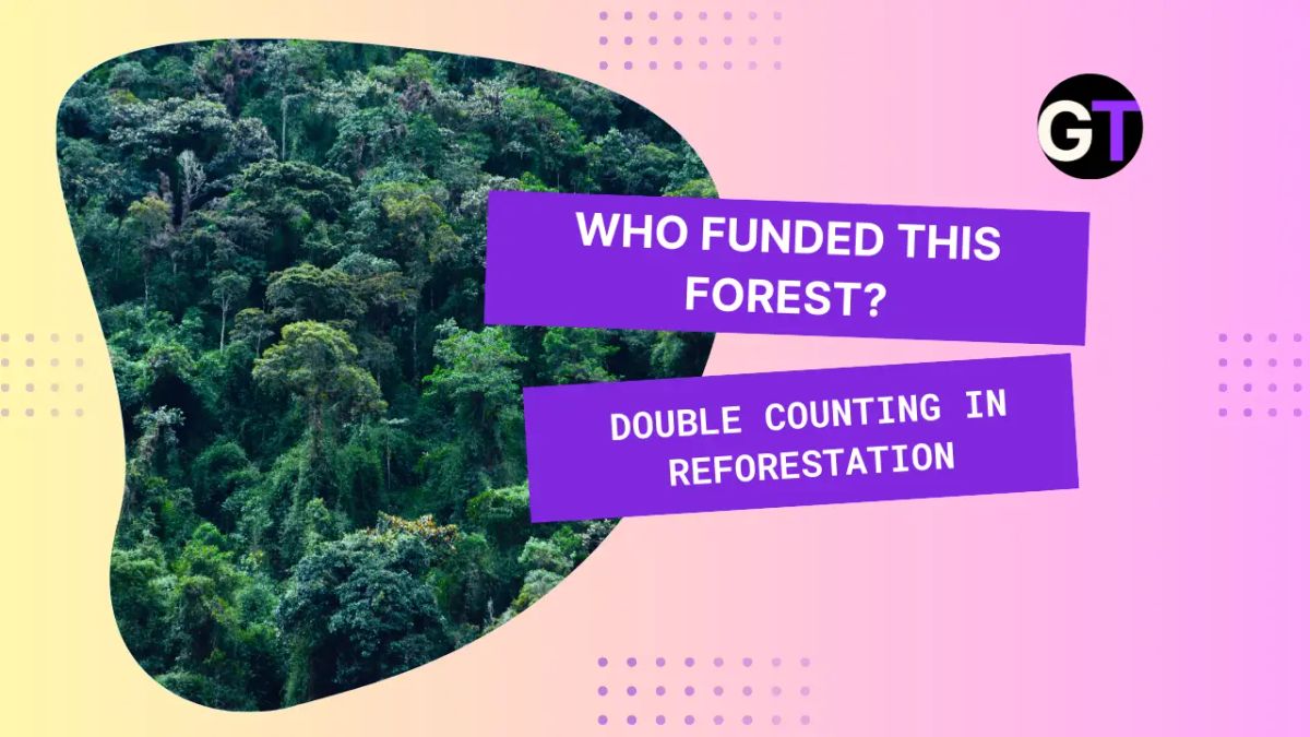 Title on pink gradient background with image of rainforest. 