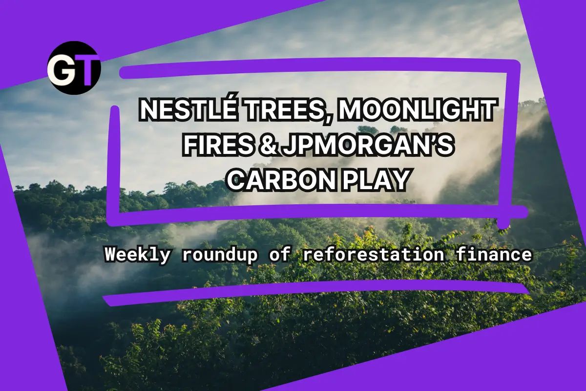 Nestlé Trees, Moonlight Fires & JPMorgan’s Carbon Play