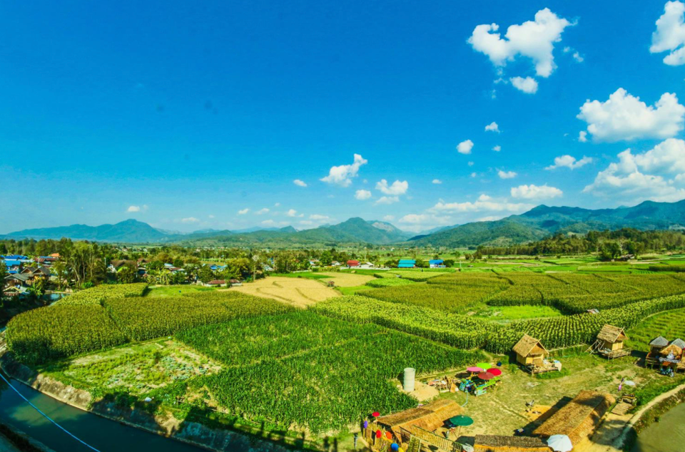 Leveraging Open Data for Forest Restoration in Asia🌳