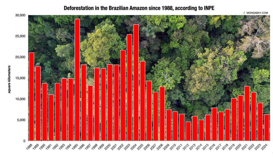 Brazil’s Amazon Deforestation Drops to 9-Year Low 🇧🇷