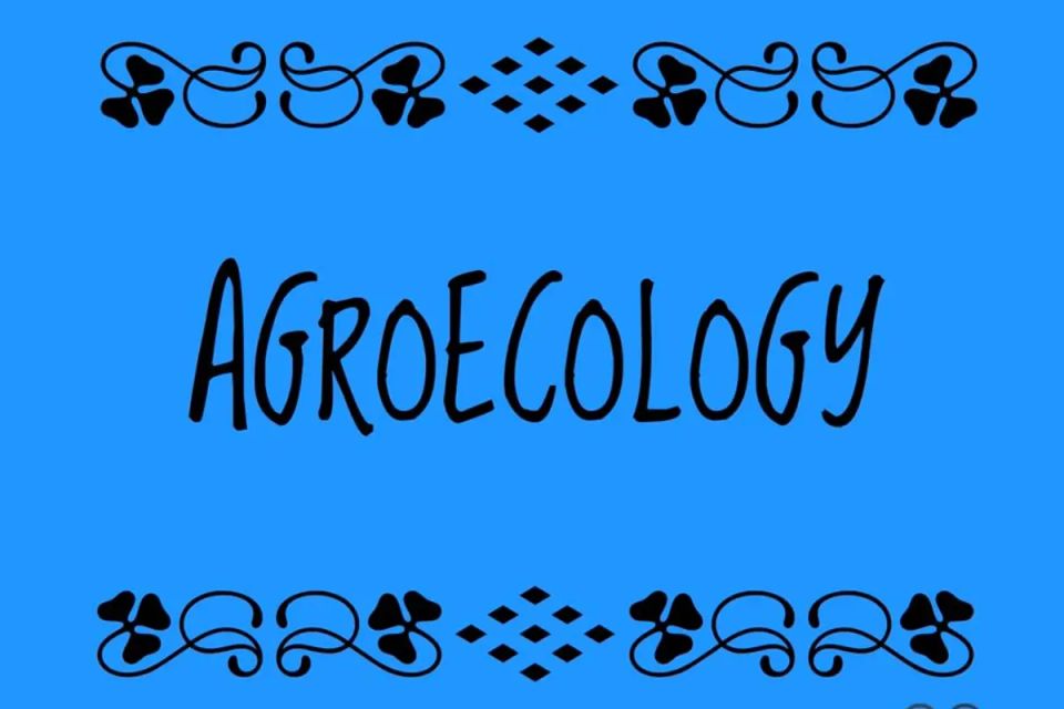 G20: Minister Highlights the Role of Agroecology 🌾