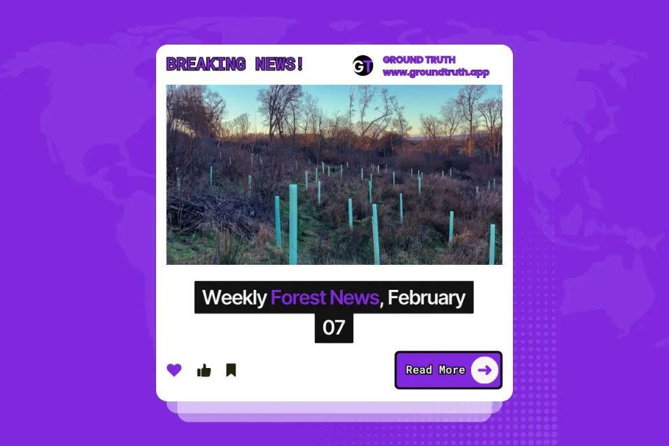 Ground Truth Weekly Forest News February 7