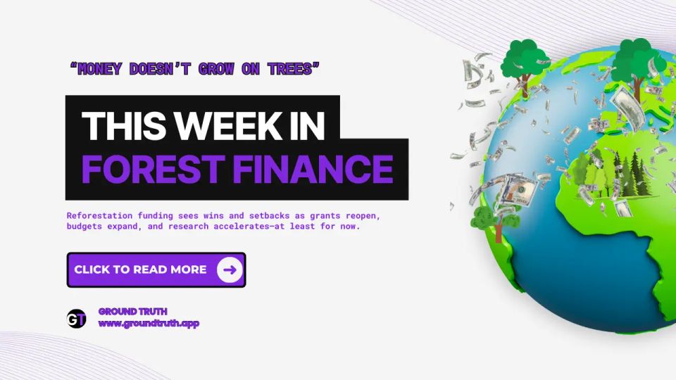 This Week in Forest Finance, February 6