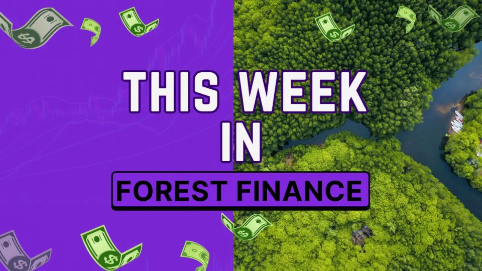 This Week in Forest Finance, April 3