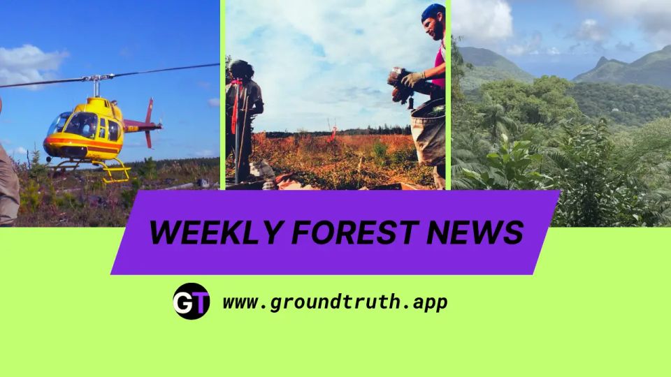 Weekly Forest News, April 11