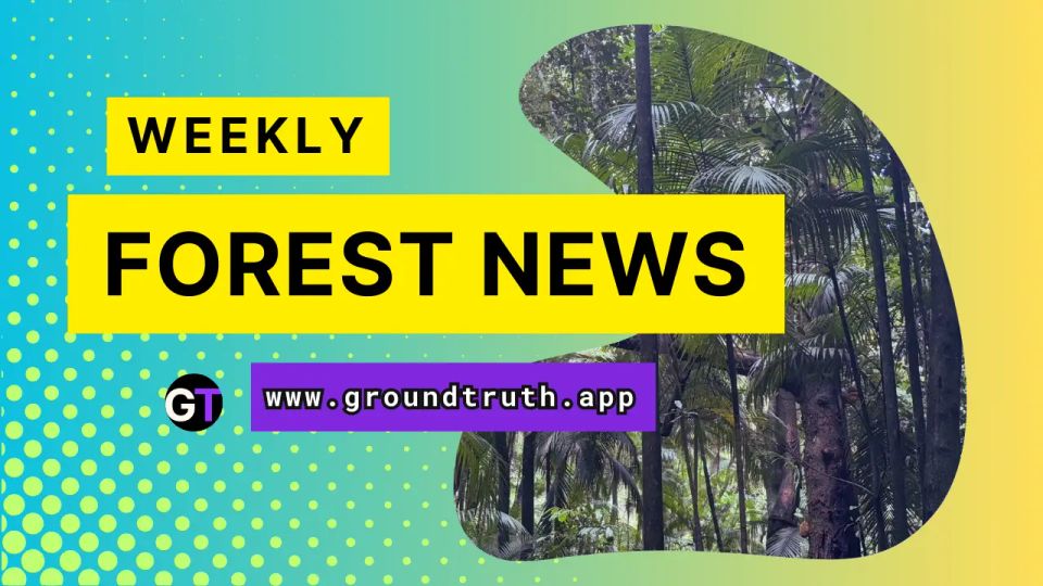 Weekly Forest News, April 18