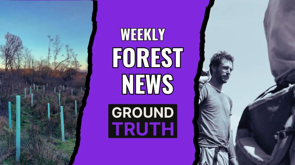 Weekly Forest News, April 25