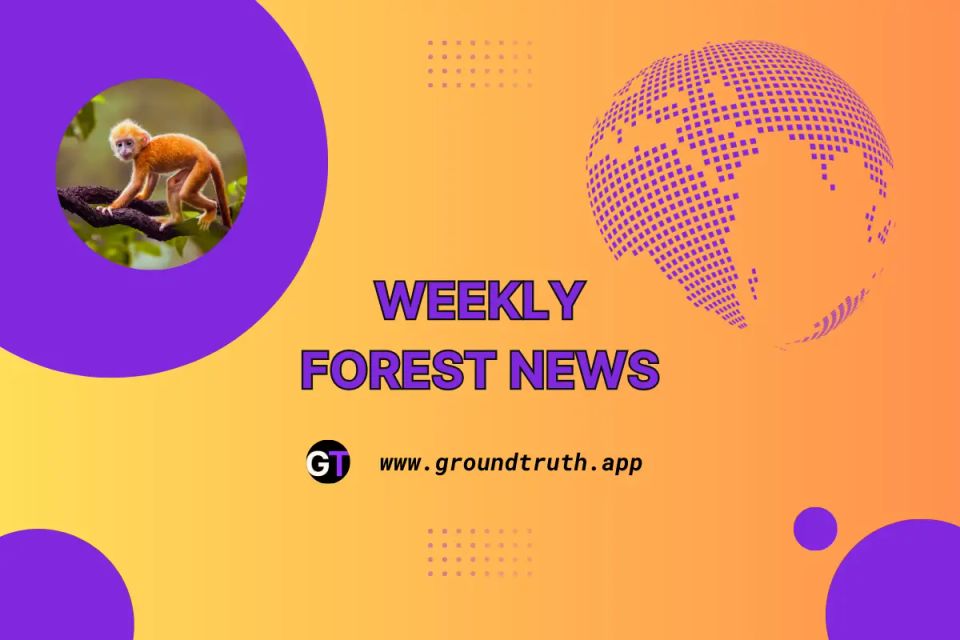 Weekly Forest News, May 2
