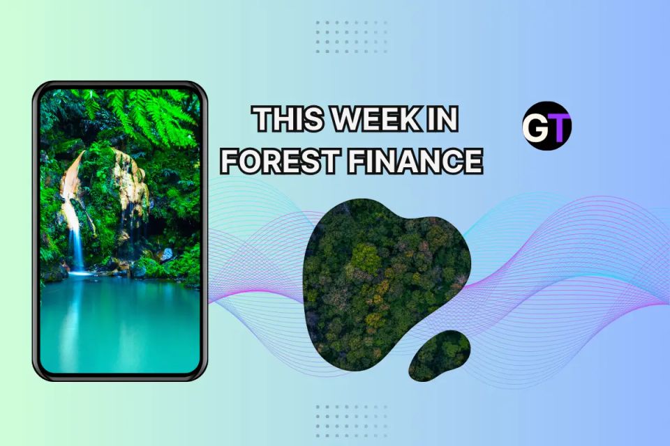 This Week In Forest Finance, May 8