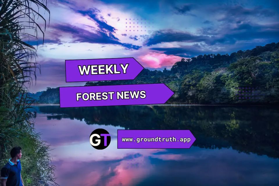 Weekly Forest News, May 16