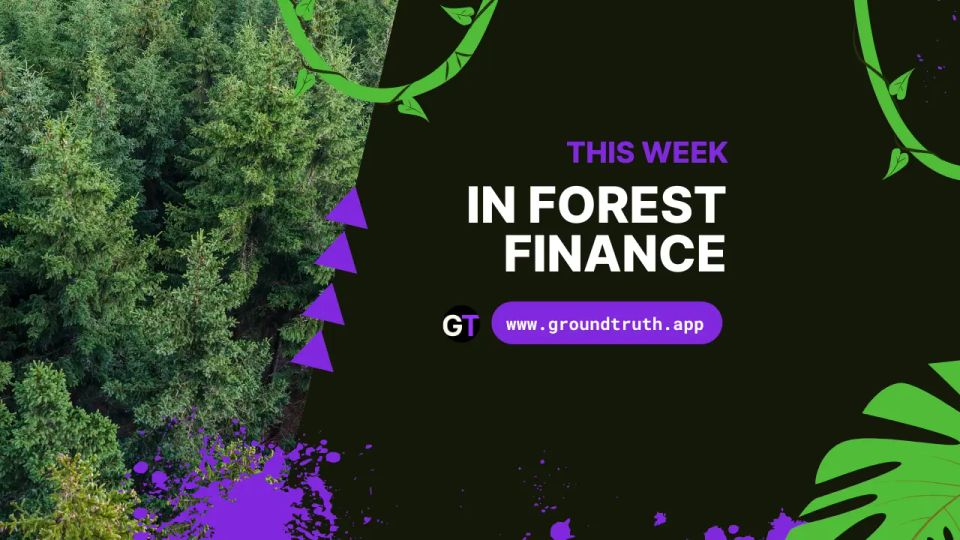 This Week In Forest Finance, May 29