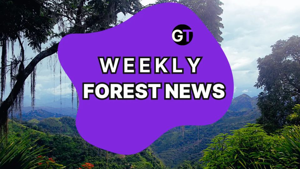 Weekly Forest News, May 30