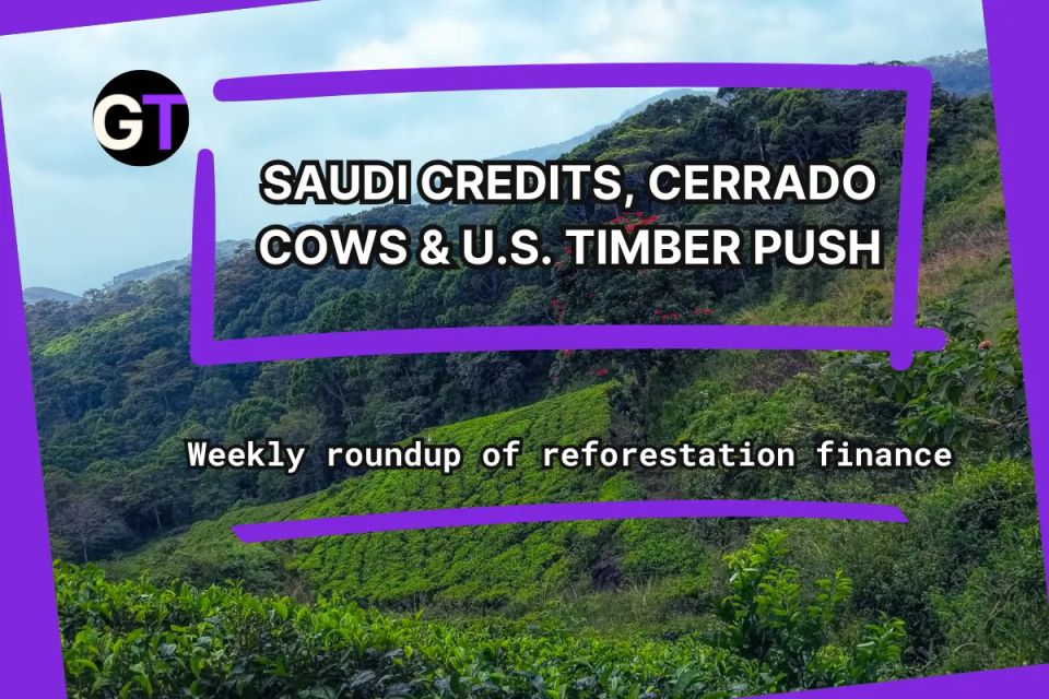 Saudi Credits, Cerrado Cows & U.S. Timber Push