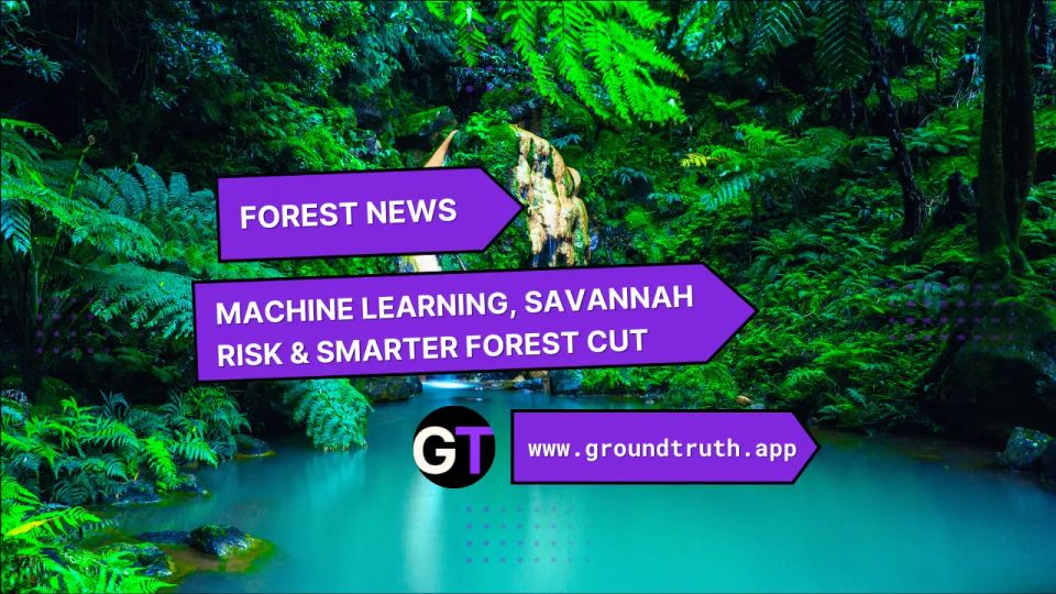 Machine Learning, Savannah Risk & Smarter Forest Cuts