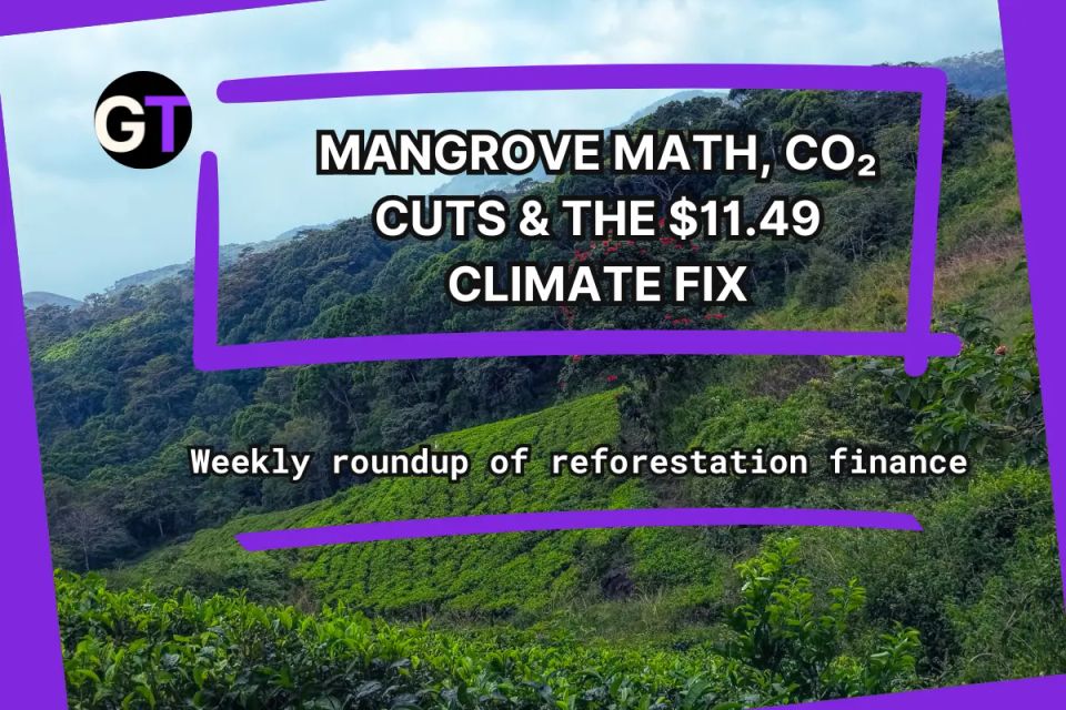 Mangrove Math, CO₂ Cuts & the $11.49 Climate Fix