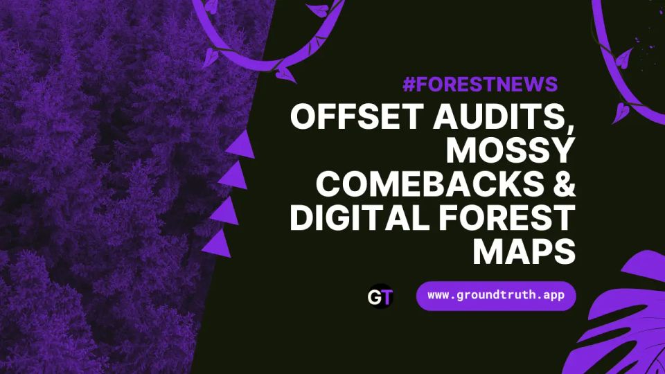 Offset Audits, Mossy Comebacks & Digital Forest Maps