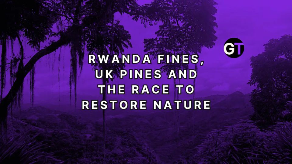 Rwanda Fines, UK Pines & the Race to Restore Nature