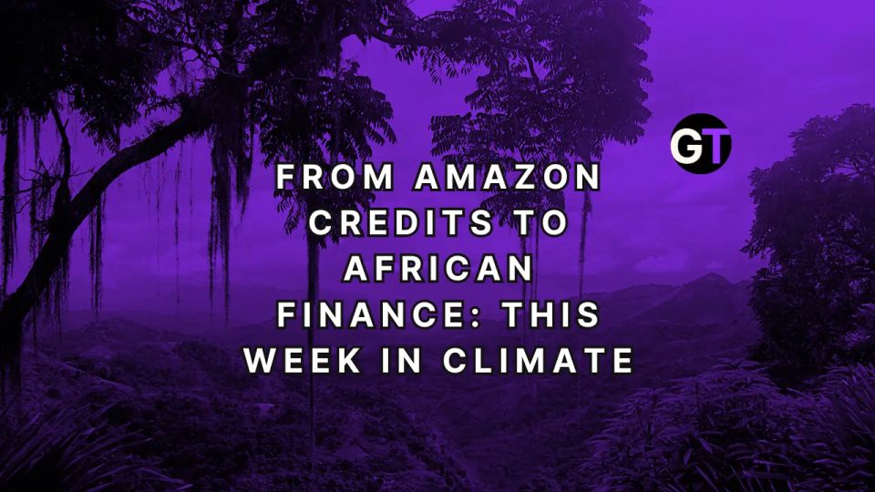 From Amazon Credits to African Finance: This Week in Climate
