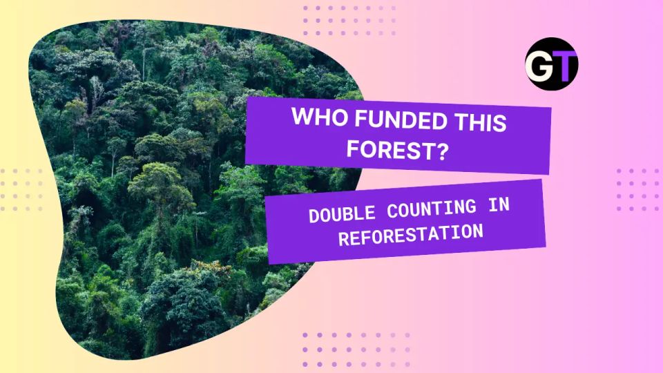 Who Funded This Forest?