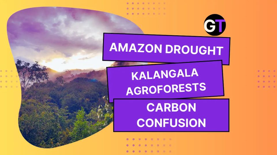 Amazon Drought, Kalangala Agroforests & Carbon Confusion