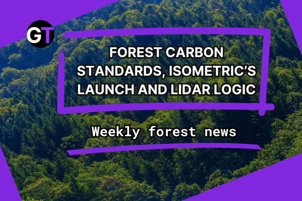 Forest Carbon Standards, Isometric’s Launch and LiDAR Logic