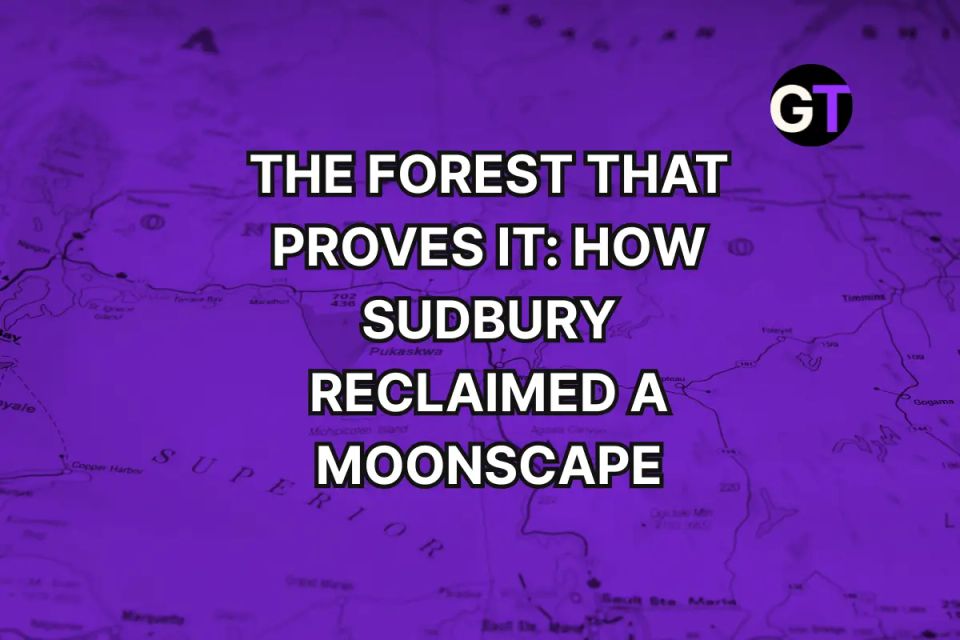The Forest That Proves It: How Sudbury Reclaimed a Moonscape