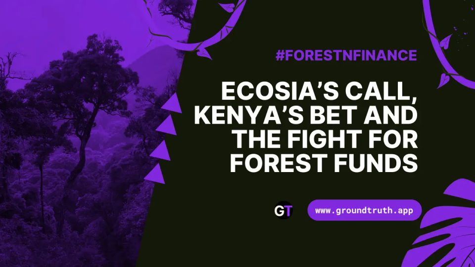 Ecosia’s Call, Kenya’s Bet and the Fight for Forest Funds
