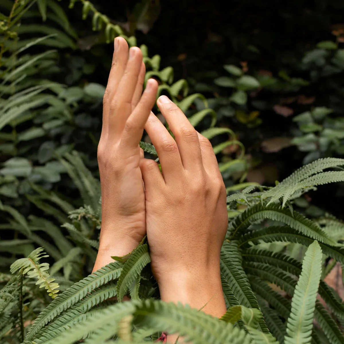 The Circularity of Life - by Zoë Melo