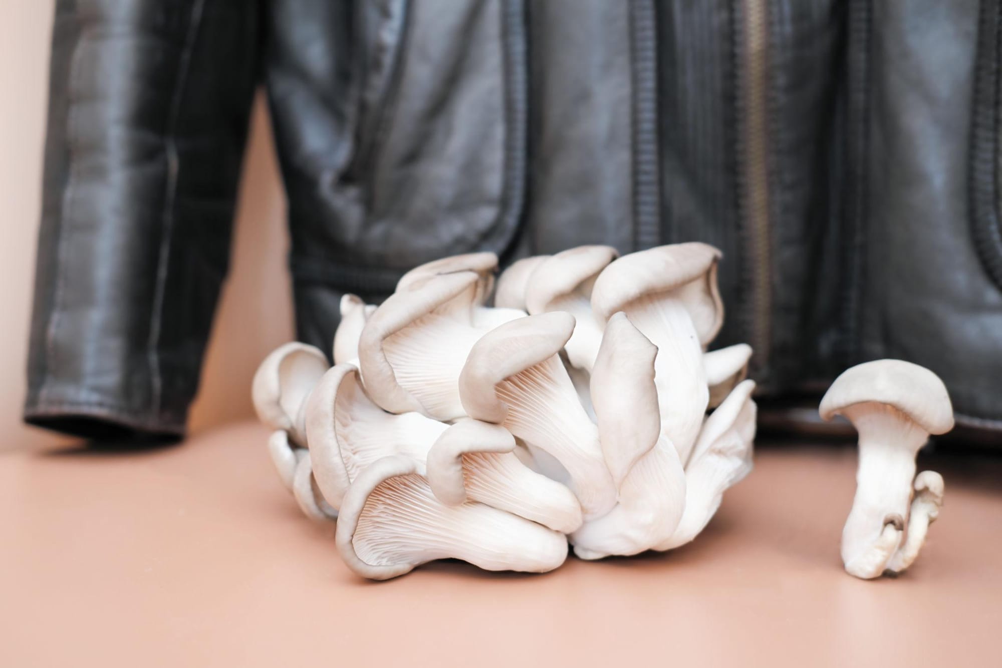 MUSHROOM Leather?