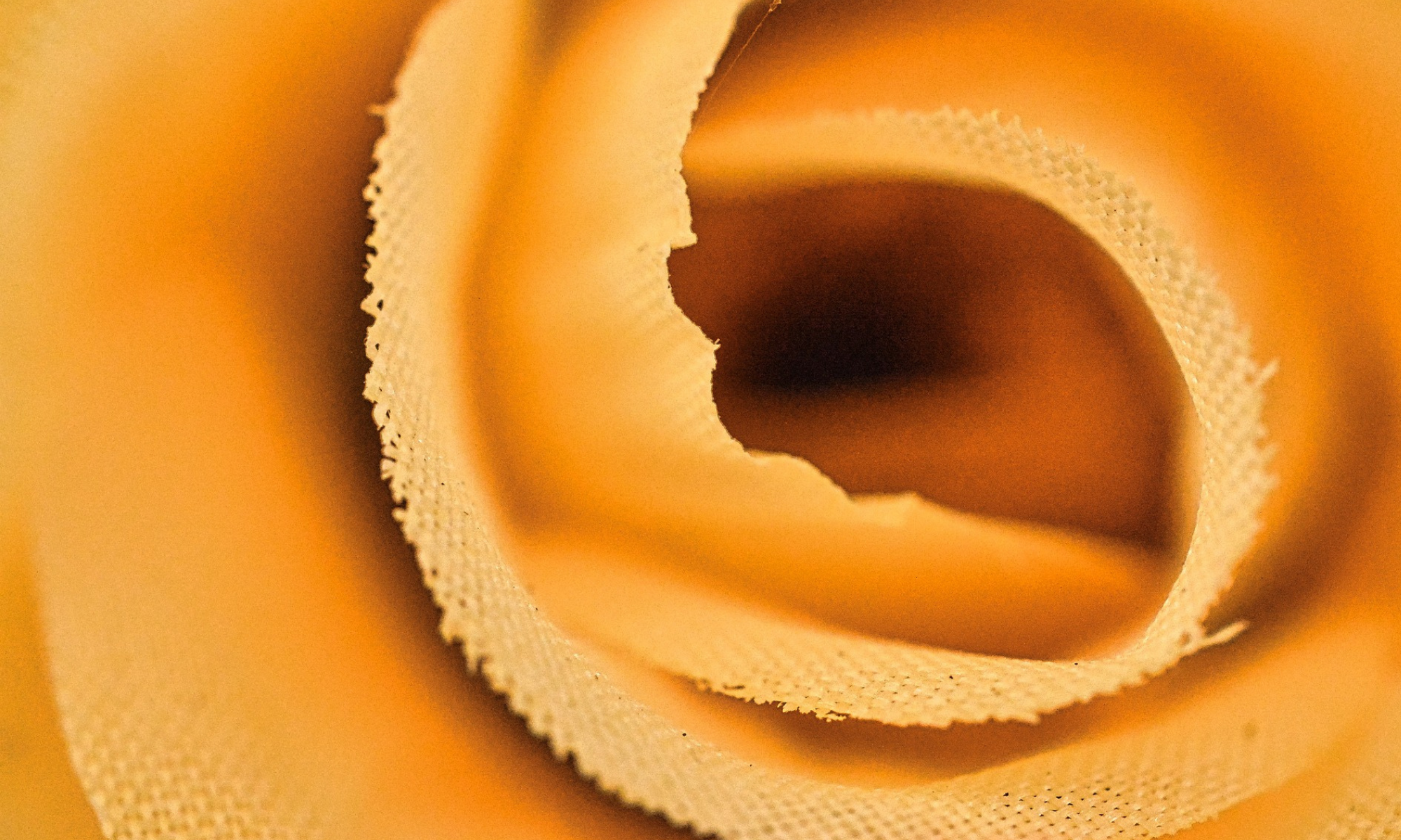 Ethical Fashion and the Rise of Regenerative Textiles