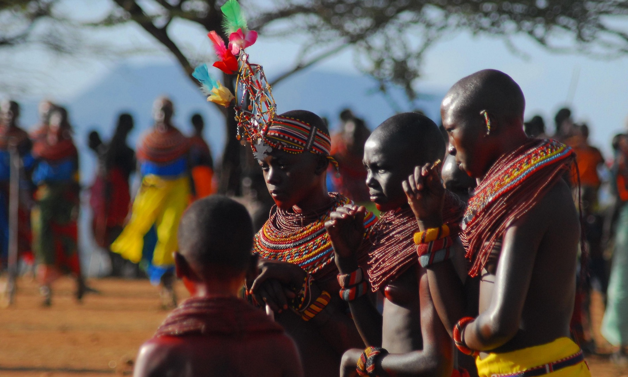 What is an Eco Safari?