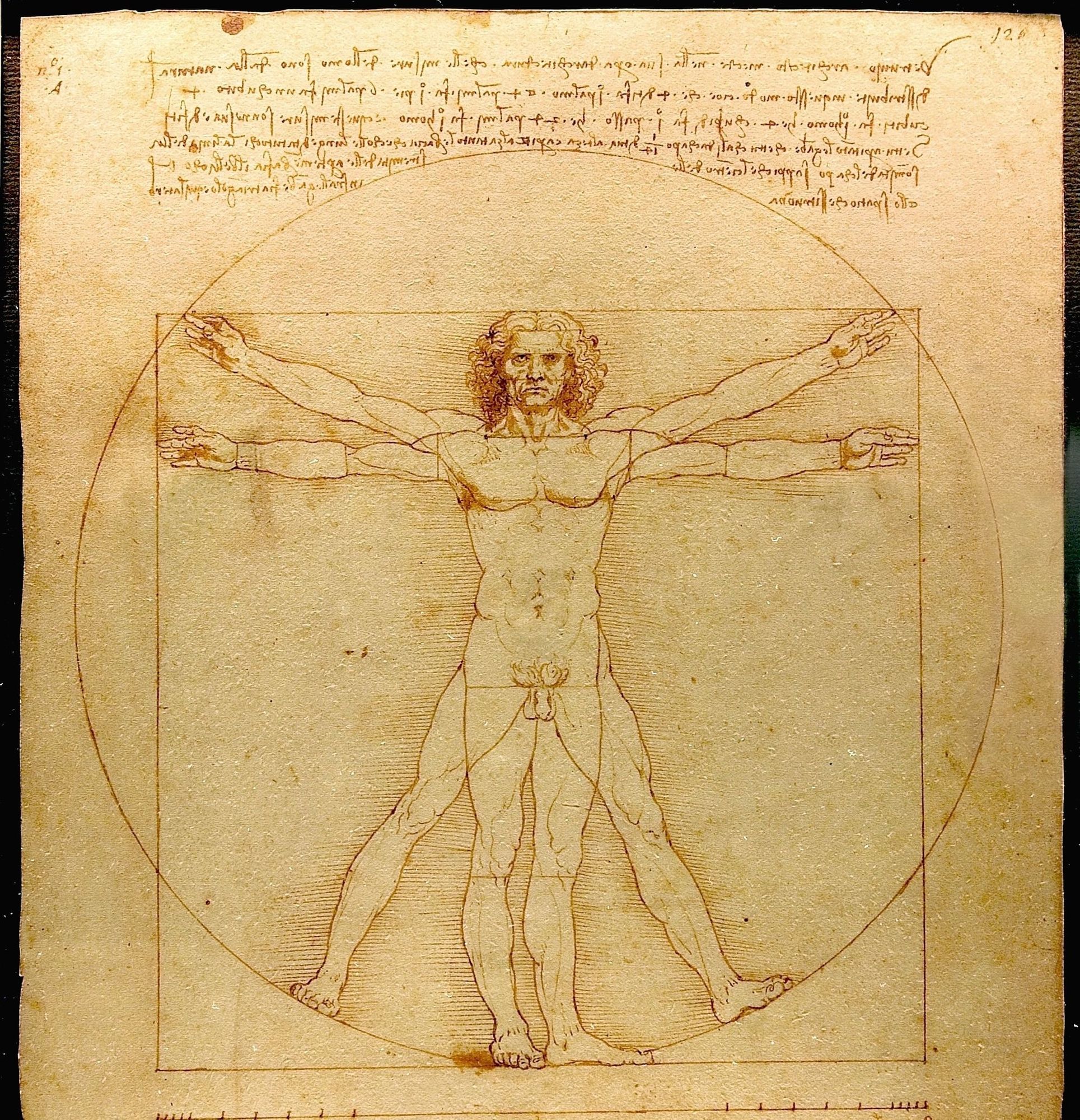 Leonardo da Vinci wisdom