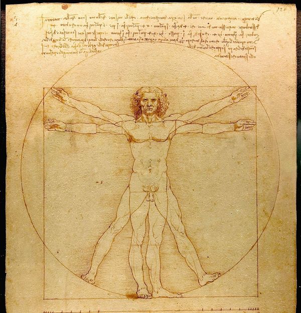 Leonardo da Vinci wisdom