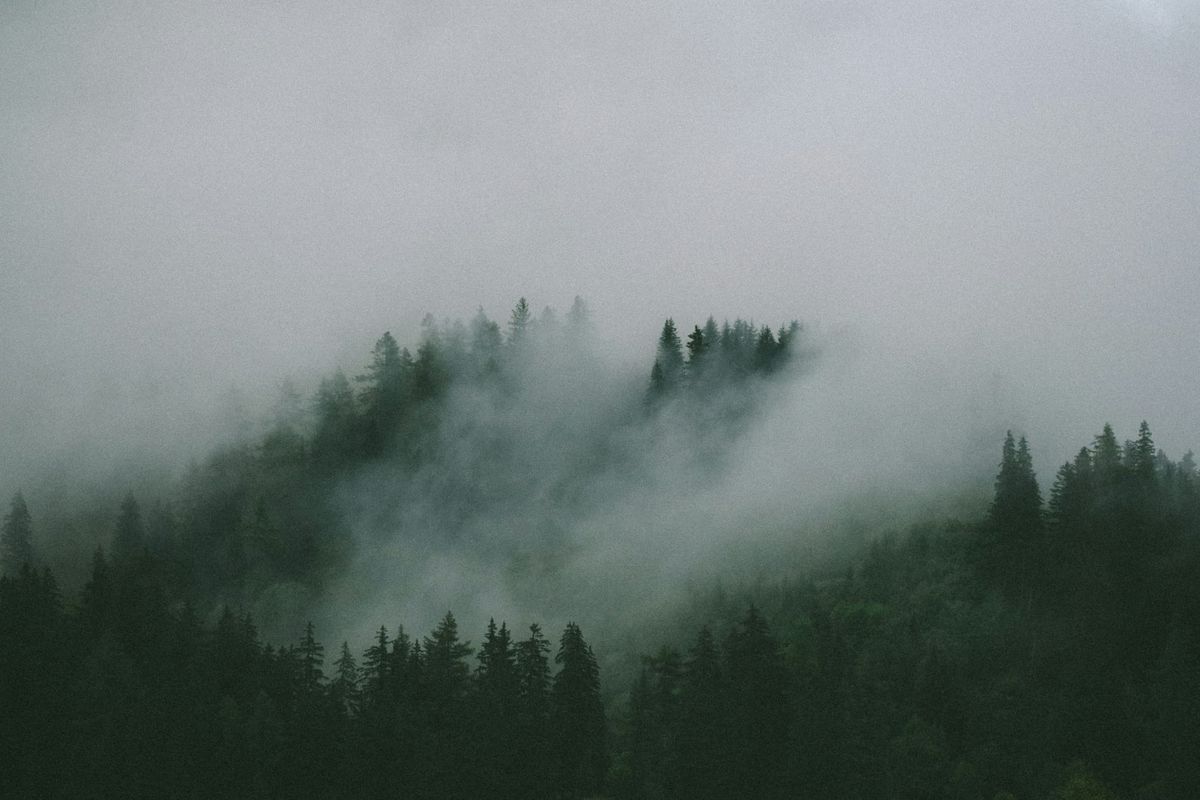 Why does Social Media persist in misreading M. W. Shelley's Frankenstein? A Complete Review