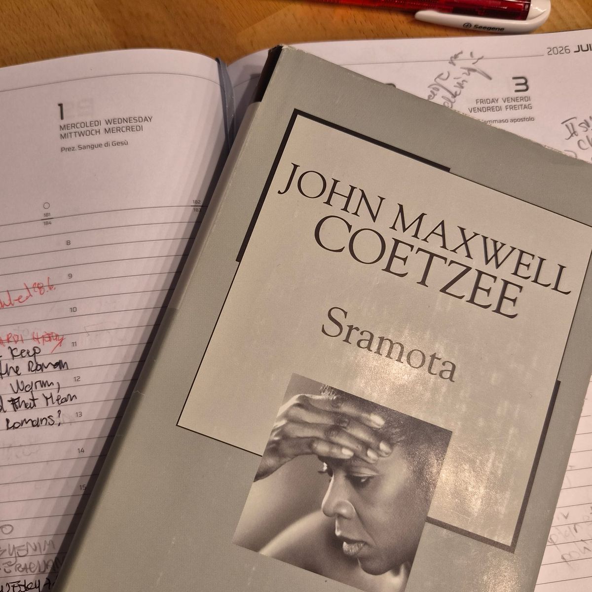 The book is lying on the planner, the planner is lying on the desk, and a ballpoint pen is lying next to it.