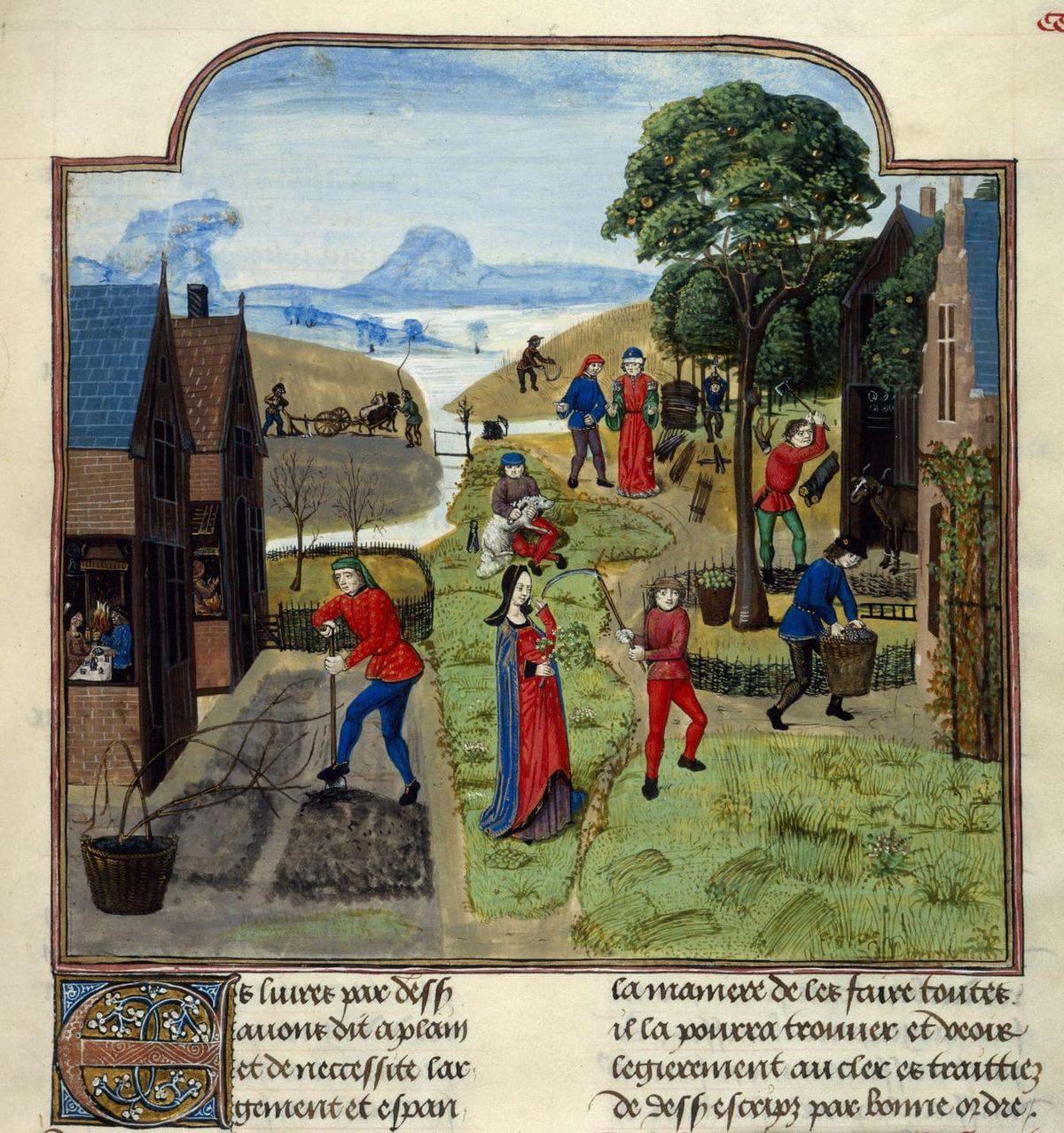Agricultural labours - Livre des profits ruraux (late 15th C)