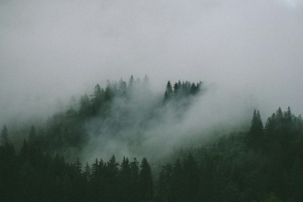 Why does Social Media persist in misreading M. W. Shelley's Frankenstein? A Complete Review
