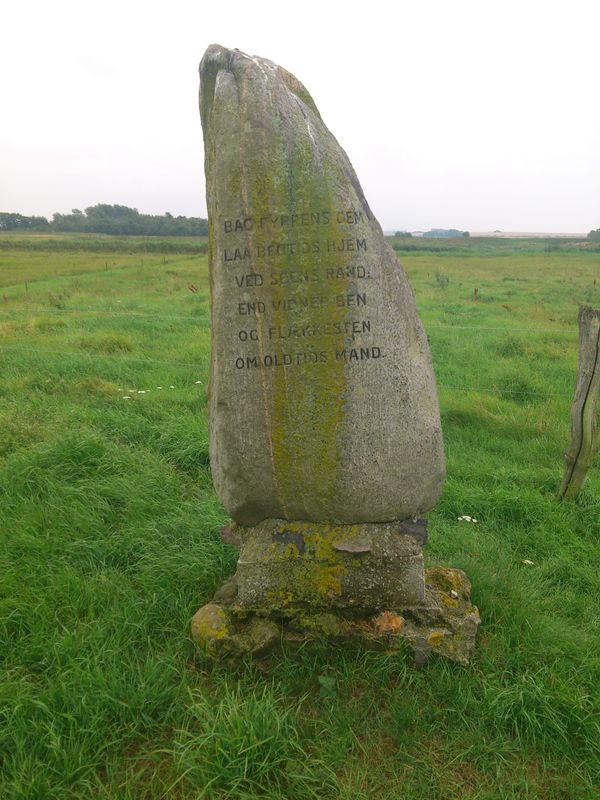 There are a lot of finds from the mesolithics in "Store Åmose", the largest lowland bog in Denmark. One site is named "Mullerup" which is the primary find site for the "Maglemose culture".