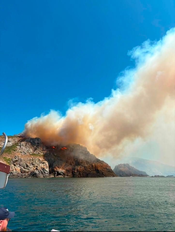 A summer fighting climate fires  in France - and in the islands