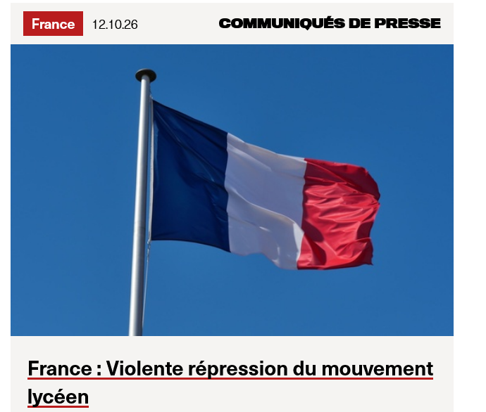 World Organisation Against Torture: French government's violent repression of schoolchildren violates international law