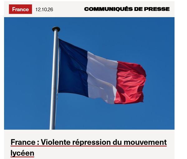World Organisation Against Torture: French government's violent repression of schoolchildren violates international law