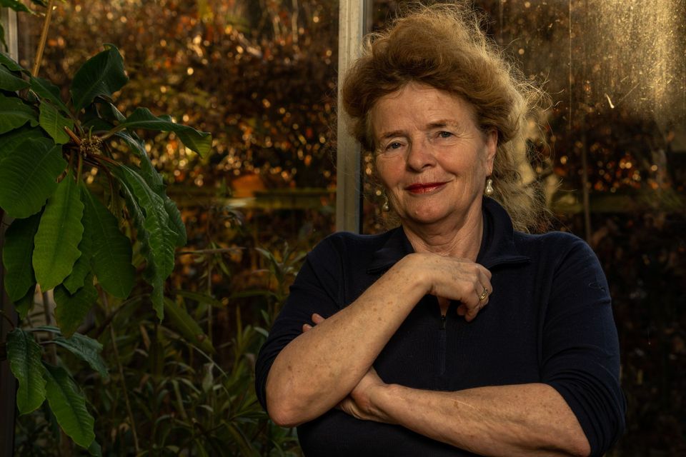 The story behind WageIndicator: 25 years of transparency on work and income worldwide