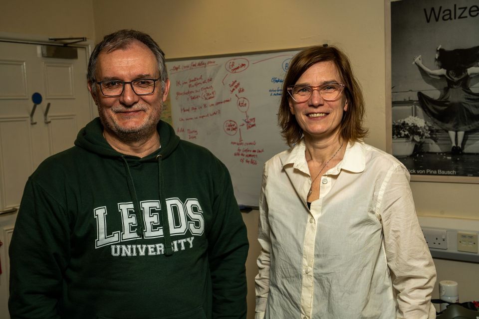 How and why does the platform worker protest? Scientists provide overview and insights.