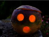 A Haunted Turnip