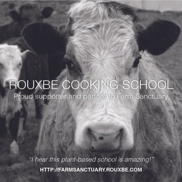 Farm Sanctuary Selects Rouxbe as Culinary Training Partner for Plant-Based Cooking.