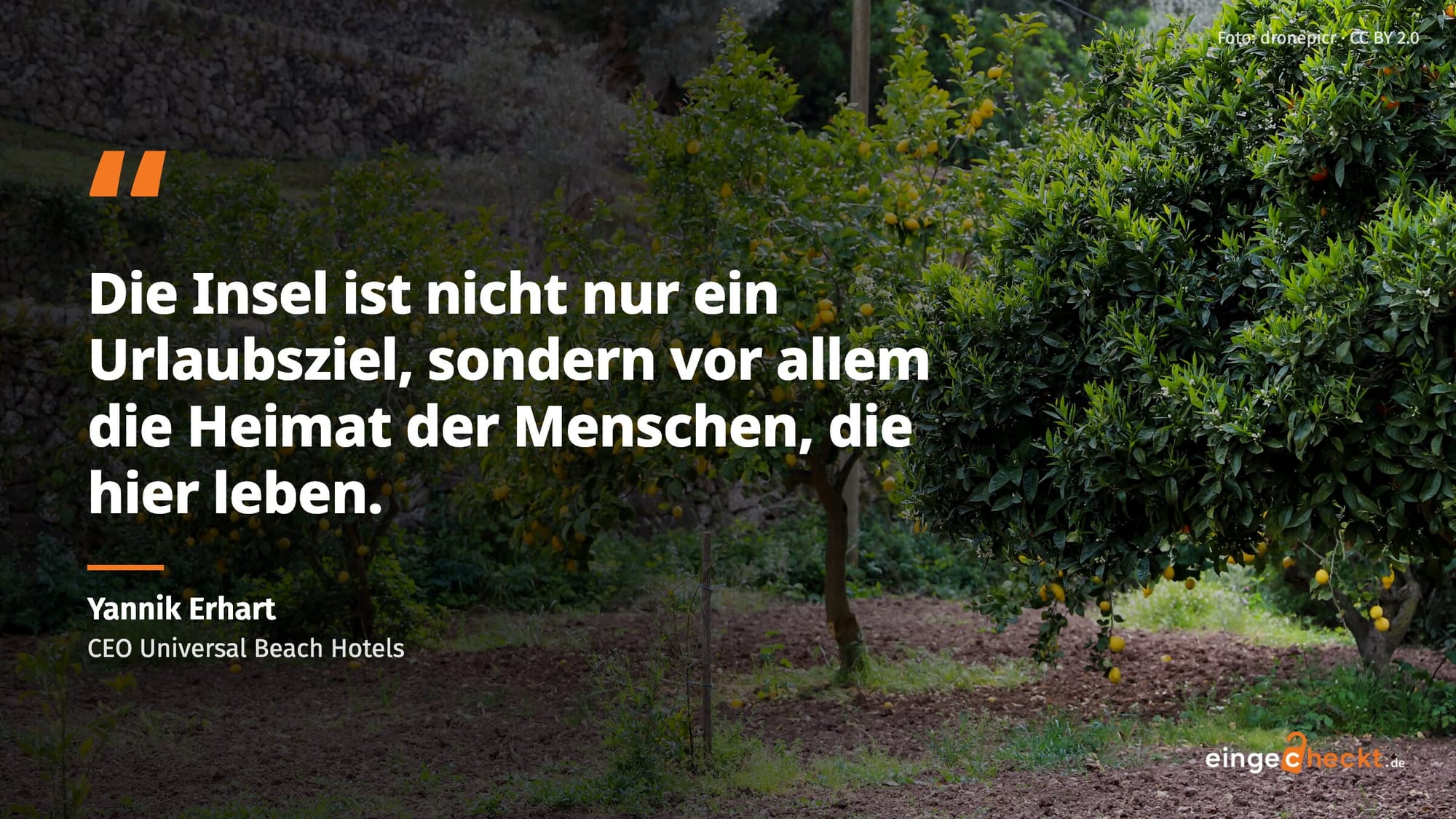 Zitatkarte vor Zitronenbäumen in Valldemossa: „Die Insel ist nicht nur ein Urlaubsziel, sondern vor allem die Heimat der Menschen, die hier leben.“ Yannik Erhart